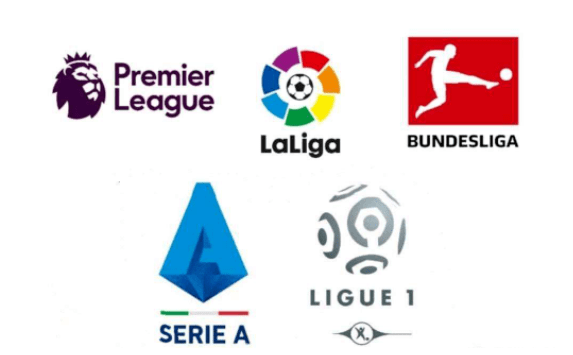 她们都在争 她们都在争